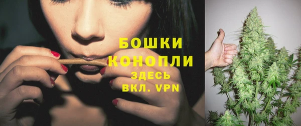 дмт Белокуриха