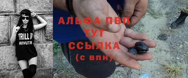 дмт Белокуриха