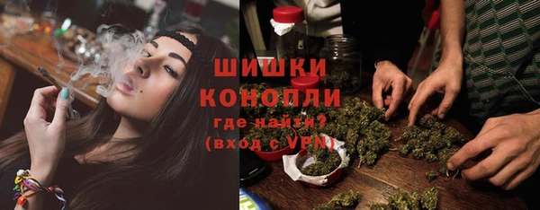 дмт Белокуриха